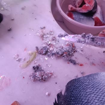 Carrefour Norwegian Salmon Delivered Uncleaned and Without Receipt