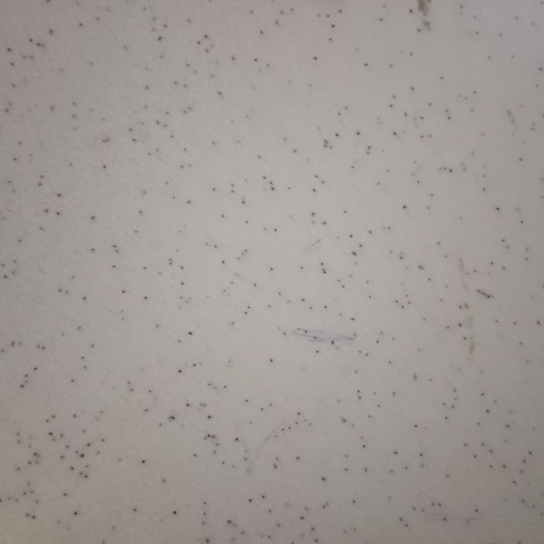 Aras Kargo Firuzköy Şubesinde Kaybolan Ve Teslim Edilmeyen Ürünlerle Mağduriyet