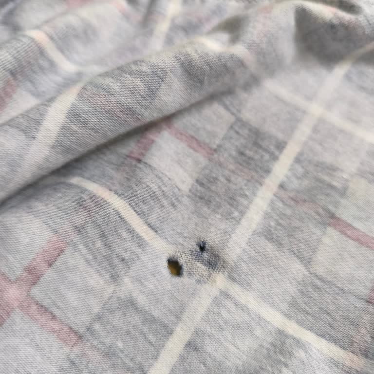 LCW'den Aldığım Boxer İlk Kullanımda Yırtıldı: Değişim Veya İade Talebim Var