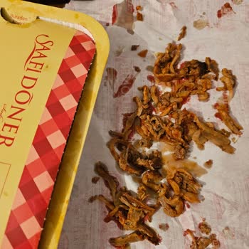 Yüksek Ücret, Kötü Kalite: Saafi Döner'den Hayal Kırıklığı