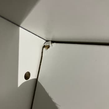 Hasarlı Rafların Değişimi İçin Eve Servis Talebim Reddedildi