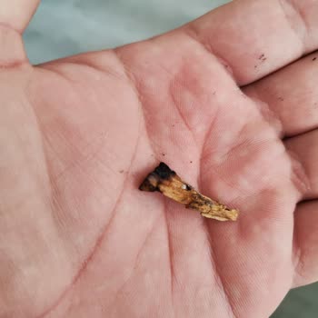 Philip Morris Sigaralarında Sürekli Yabancı Madde Ve Kalite Sorunu