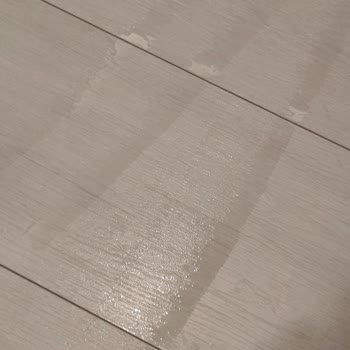 Dyson Wash G1 Leaking Water Issue Not Fixed Despite Service Repair