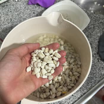 Taze Alınan Fasulye Pişerken Dağıldı Ve Kabuklandı Mağduriyet Yaşadım