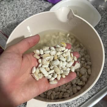 Taze Alınan Fasulye Pişerken Dağıldı Ve Kabuklandı Mağduriyet Yaşadım