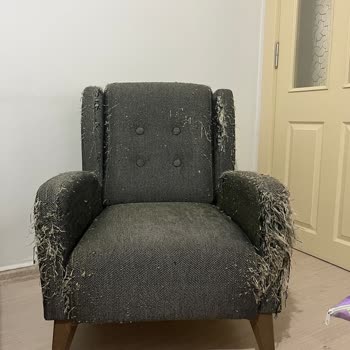 Pati Dostu Diye Satılan Koltuklar Hem Dayanıksız Çıktı Hem De Servis Çözüm Sunmuyor