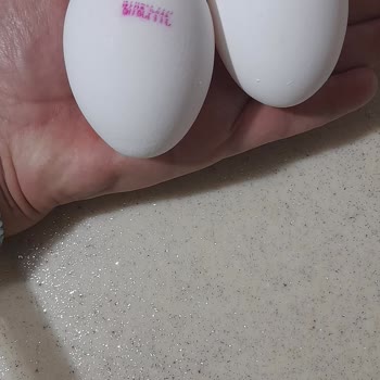 Large Boyutunda Satılan Yumurtalar Küçük Çıkıyor, Sürekli Boyut Tutarsızlığı Yaşıyorum