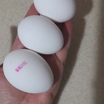 Large Boyutunda Satılan Yumurtalar Küçük Çıkıyor, Sürekli Boyut Tutarsızlığı Yaşıyorum