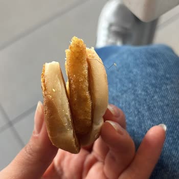 Menú McDonald's, encontré un pelo, solicito reembolso y disculpa
