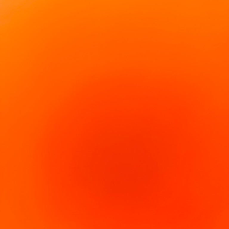 Heybeliada'da Sivrisinek Sorunu Ve Yetersiz Belediye Hizmetleri