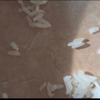 Siparişimde Kıl Çıktı, Kanıt Gönderimi Engellendi Ve Çözüm Sunulmadı