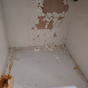 Kumtel Ankastre Fırın Buhar Kaçağı Ve Yetersiz Servis Hizmeti