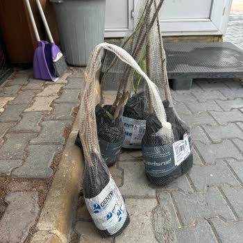 Eksik Ve Kusurlu Fidan Teslimatı, İletişimsizlik Ve Fatura Sorunu