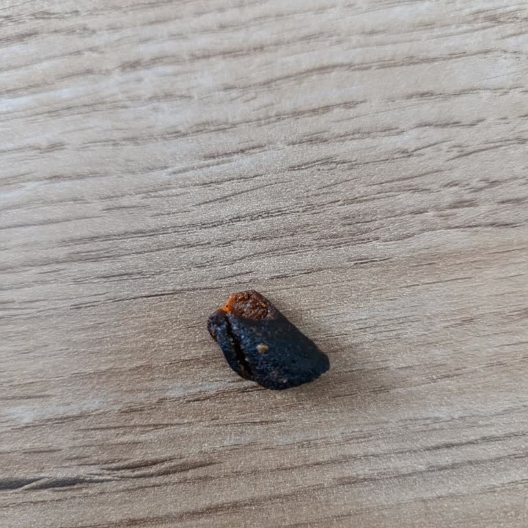 Aldığım Cipsin İçinden Yabancı Madde Çıktı Ve Yanık Tad Vardı