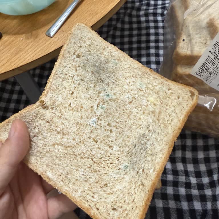 Satın Aldığım Tost Ekmeği Son Kullanma Tarihinden Önce Küflendi