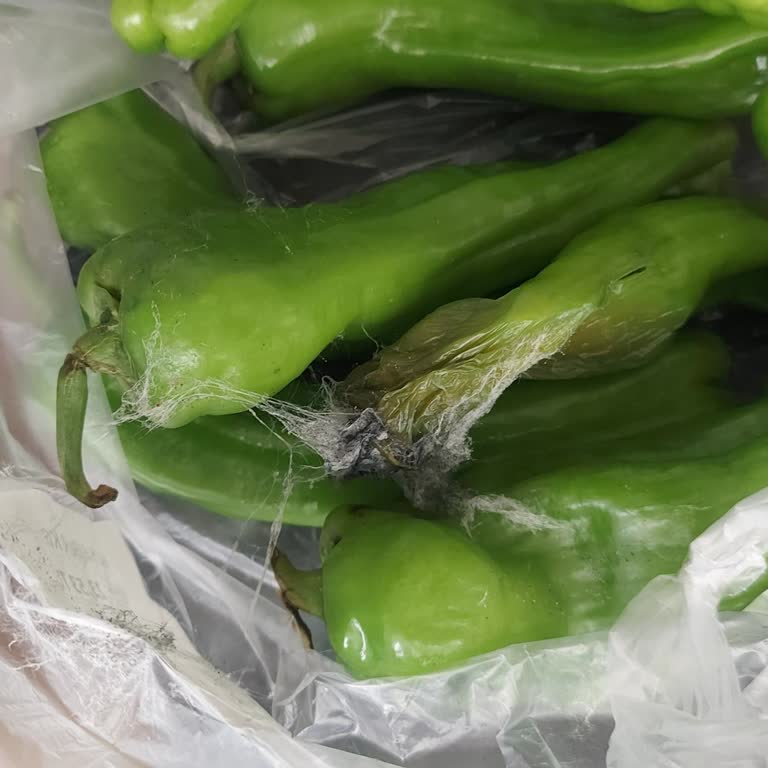 Bozuk Ve Geç Teslim Edilen Ürünlerle Sağlığımız Tehlikeye Atıldı