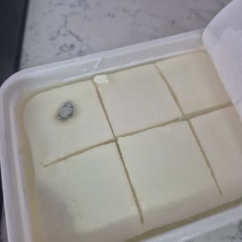 Taze Alınan Pınar Süzme Peynir Küflü Ve Bozuk Çıktı, Müşteri Hizmetlerine Ulaşılamıyor