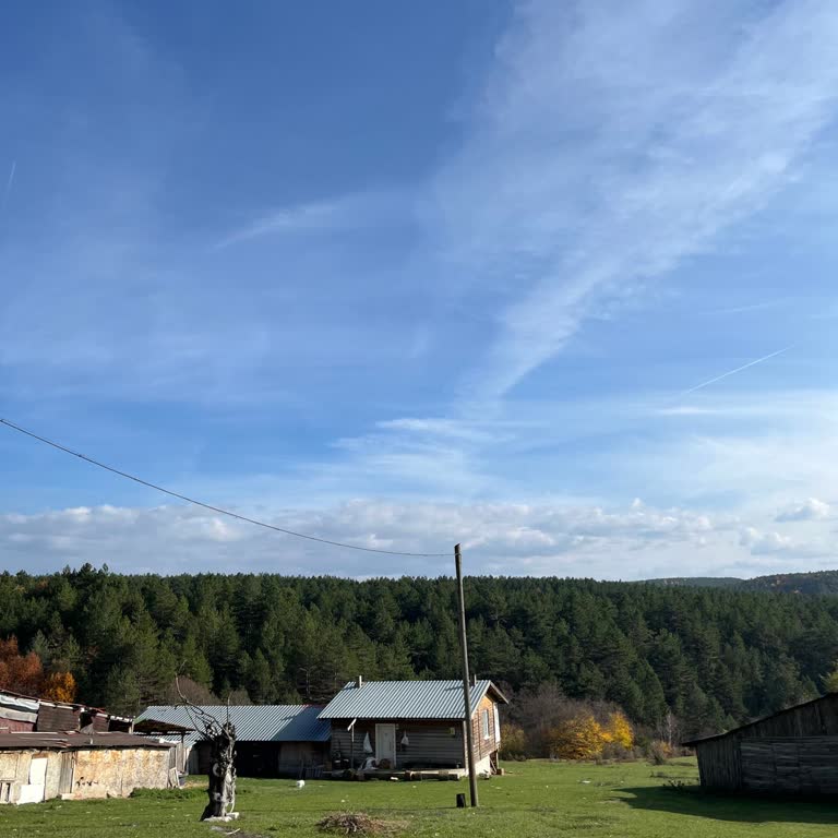 Gezione Tur Yedigöller Turunda Rehbersiz Ve Bilgisiz Bırakıldık, Mağdur Olduk