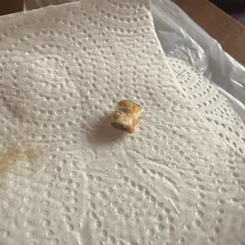 Tarım Ve Orman Bakanlığı Ekmekten Sigara İzmariti Çıktı: Sağlığımız Tehlikede!