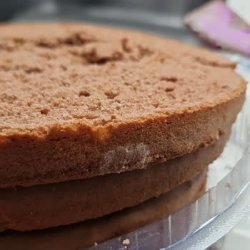 Aldığım Tüm Pasta Kekleri Küflü Çıktı!