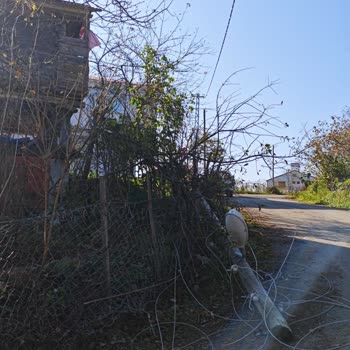 YEDAŞ Ekiplerinin Elektrik Direği Çalışmasında Bahçeme Verilen Zarardan Şikayetçiyim