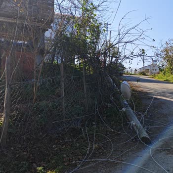 YEDAŞ Ekiplerinin Elektrik Direği Çalışmasında Bahçeme Verilen Zarardan Şikayetçiyim