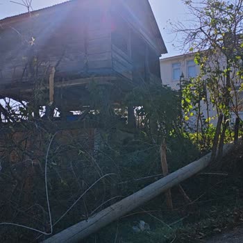 YEDAŞ Ekiplerinin Elektrik Direği Çalışmasında Bahçeme Verilen Zarardan Şikayetçiyim