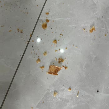 Yemeksepeti Market Deterjanlı Poşet Yüzünden Tüm Siparişim Kullanılamaz Hale Geldi