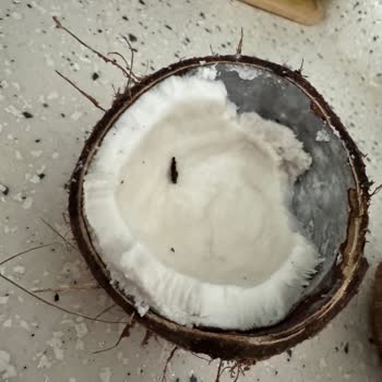 Şok Marketten Bozuk Hindistan Cevizi Teslimatı Ve Fatura Sorunu