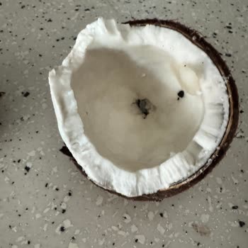 Şok Marketten Bozuk Hindistan Cevizi Teslimatı Ve Fatura Sorunu