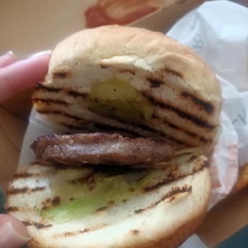 Ercan Burger Siparişim Eksik ve Yanlış Geldi, Restoran Çözüm Sunmadı Ücret İadesi İstiyorum