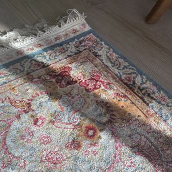 Siirt Saygı Halı Yıkama Merkezi Şikayeti