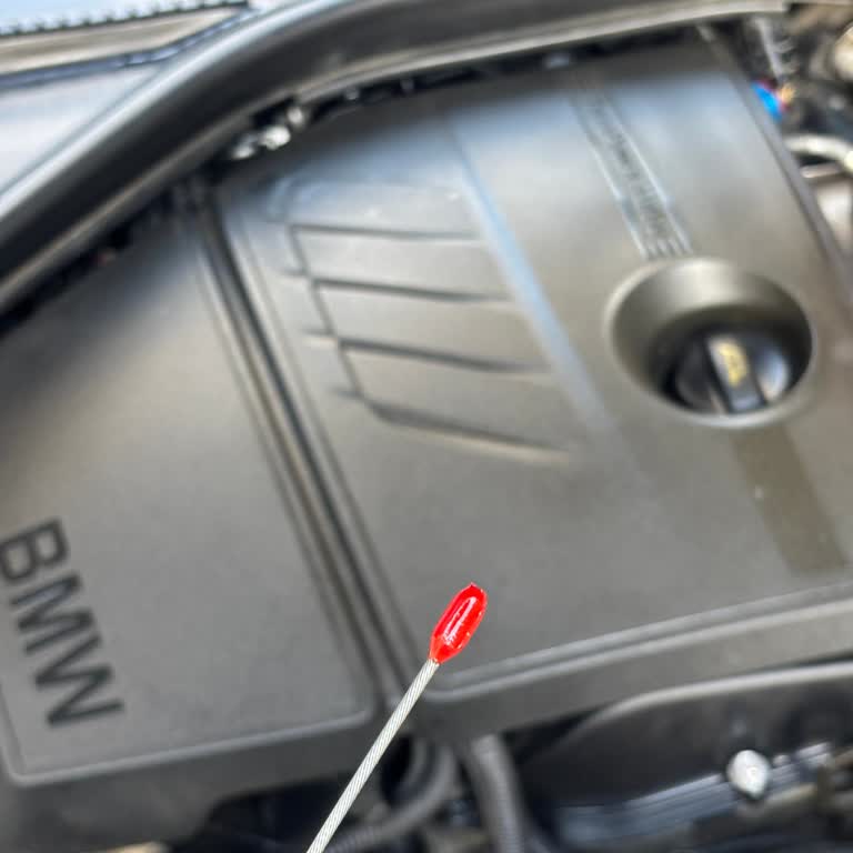 BMW F20 116i Yağ Çubuğu Kronik Kopma Sorunu Ve Mağduriyet