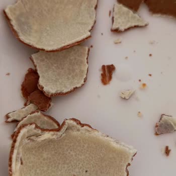 Kinder Yumurtada Şüpheli Beyazlıklar Ve İade Sorunu