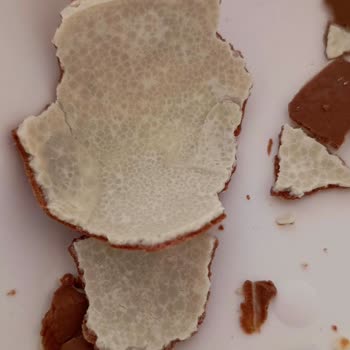 Kinder Yumurtada Şüpheli Beyazlıklar Ve İade Sorunu