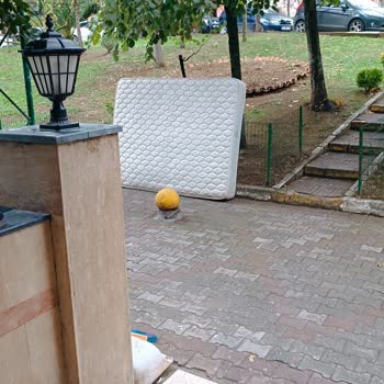 Sigorta Su Baskını Zararımı Karşılamadı, Mağdur Edildim!