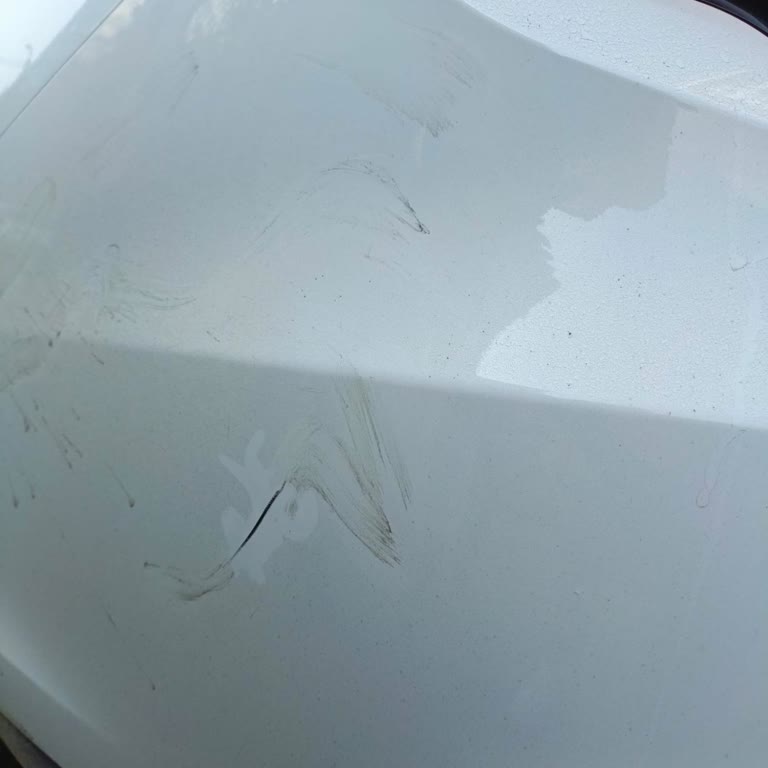 Ceyhun Rent A Car Kolayca Temizlenebilecek İz İçin Yüksek Ücret Ve Sigorta Bilgilendirmesi Eksikliği