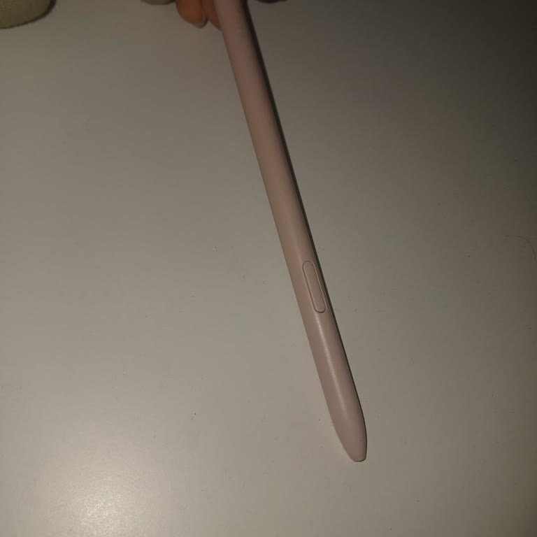 Samsung S6 Lite Kalemine Ulaşamıyorum, Mağdurum!