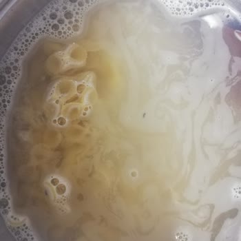 Oba Makarna Fiyonk Ürününün İçinden Böcek Çıkması Ve Hijyen Sorunu