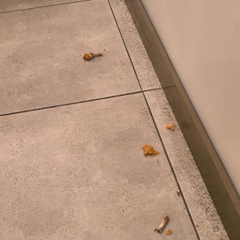 Popeyes Şubesinde Yanlış Sipariş, Bayat Ürün Ve Kötü Hijyen Deneyimi