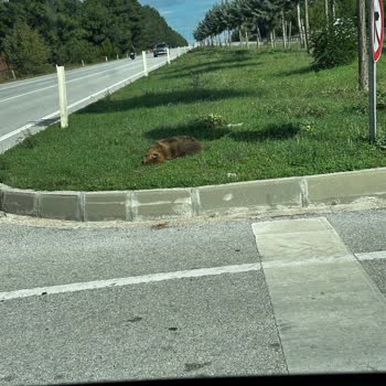 Çanakkale Saltık Mahallesi’nde Büyük Çöpler Toplanmıyor, Hijyen Ve Görüntü Kirliliği Artıyor