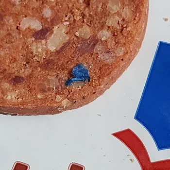 Dana Sucukta Mavi Plastik Şoku: Sağlığımız Tehlikede!