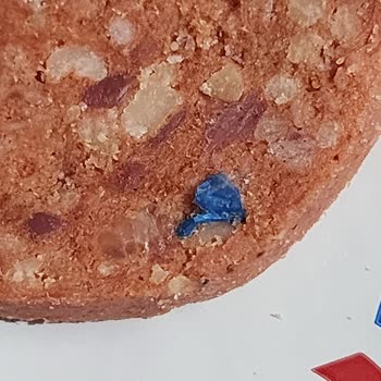 Dana Sucukta Mavi Plastik Şoku: Sağlığımız Tehlikede!