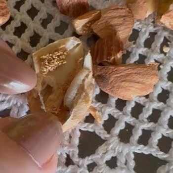 Aldığım Bademlerin İçinden Kurt Çıktı, Hijyen Sorunu Yaşadım