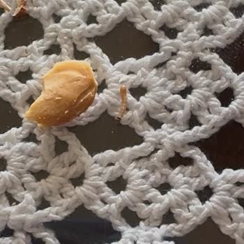 Aldığım Bademlerin İçinden Kurt Çıktı, Hijyen Sorunu Yaşadım