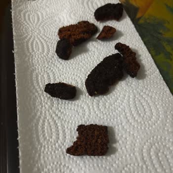 Cips Paketinden Yabancı Cisim Çıktı, Sağlığım Tehlikeye Girdi!