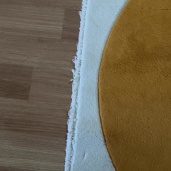 Yüksek Ücret, Eksik Temizlik Ve Zarar Gören Halılar: Leva Halı Yıkama Mağduriyeti