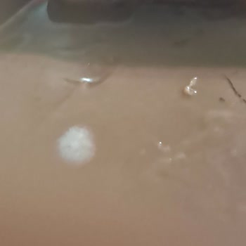 A101den Aldığım Profiterolde Küf Çıktı Sağlığım Riske Girdi