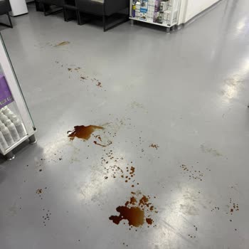 Veteriner Kliniğinde İhmal Ve Yetersiz İlgi Nedeniyle Köpeğimizin Durumu Kötüleşti