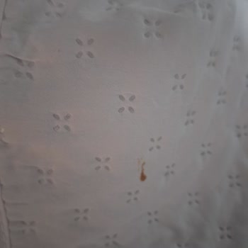 Sipariş Edilen Yatak Örtüsü Kirli Ve Kan Lekeli Geldi, İade Sorunu Yaşıyorum